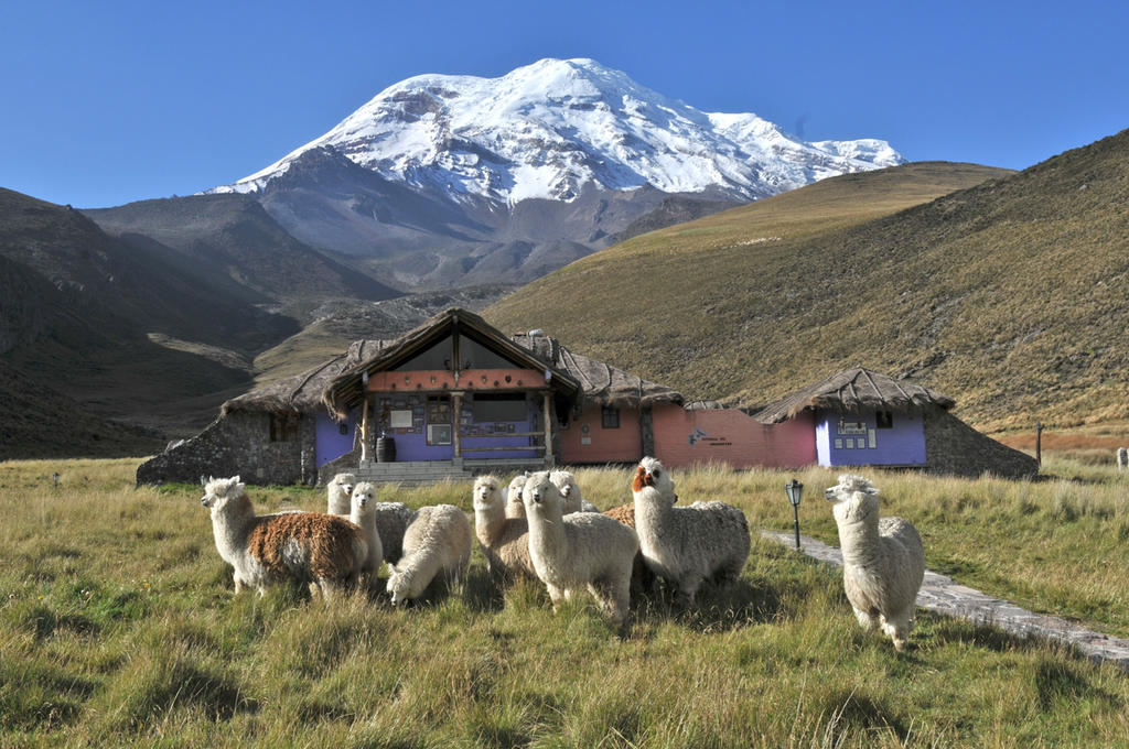 Chimborazo Lodge ภายนอก รูปภาพ